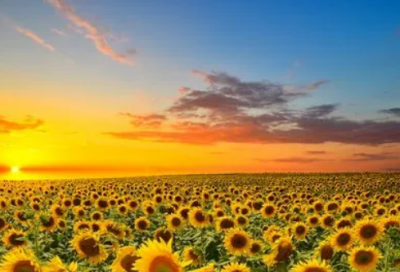 ​辉煌显赫，有品有德的男孩名字推荐