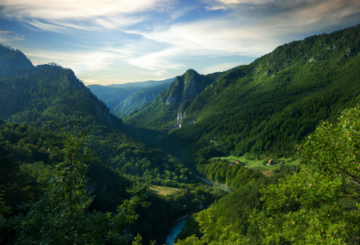 ​女孩起名，夏若繁花，萧然尘外的女宝宝名字大全