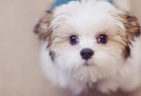 1687165172688350.png image.png