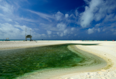 ​汪姓男孩名字介绍鼠年
