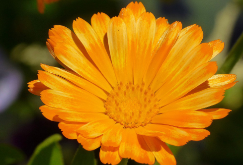 1687173658149098.png image.png