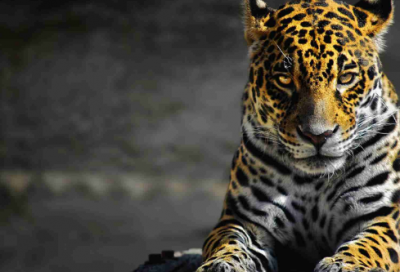 ​女宝宝起名女孩比较好的名字有哪些？