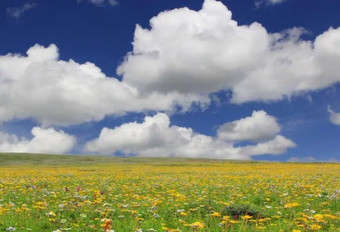 1687182813164442.png image.png