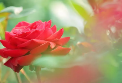 ​女孩起简单大气名字给大家介绍几种女孩取名简单大气的技巧