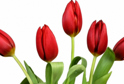 ​男孩起名字有男子气概的名字介绍