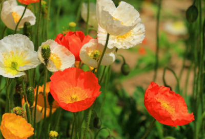 ​男孩起名好听不俗、积极向上的男宝宝名字大全