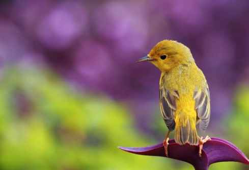 1687189976852943.png image.png