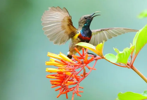 1687191641863949.png image.png