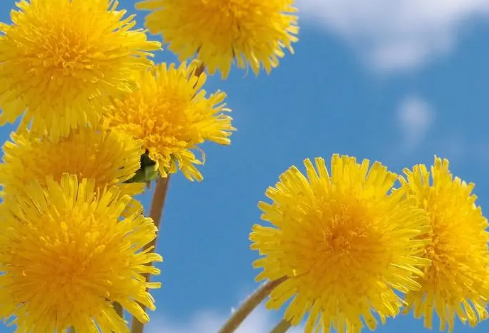 1687192473318310.png image.png