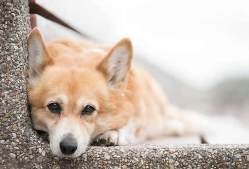 1687194469299076.png image.png