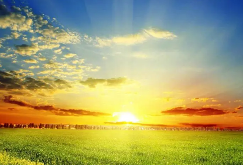 1687194636962274.png image.png