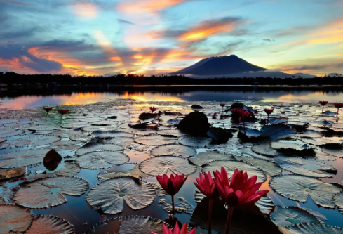 1687201626714017.png image.png