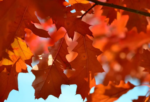 1687203290884577.png image.png