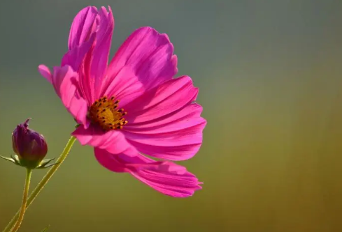 1687203955409086.png image.png