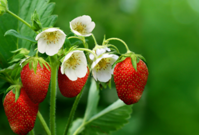 ​好听时尚的男孩女孩名字大全
