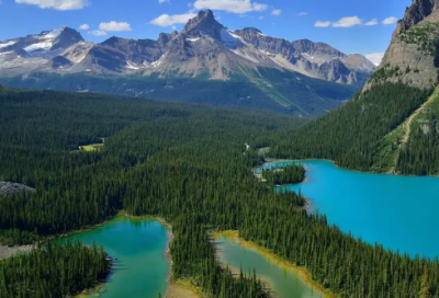 ​适合女孩起名字的汉字