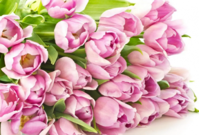 ​j字开头的男孩英文名（带音译和解释）