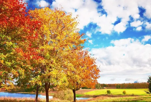 1687217771893763.png image.png