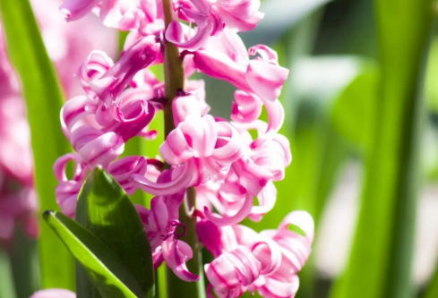 1687217938537904.png image.png