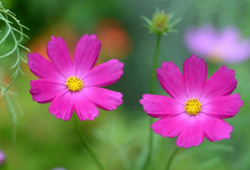 1687218104710945.png image.png