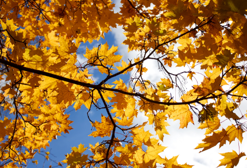 1687219270854553.png image.png