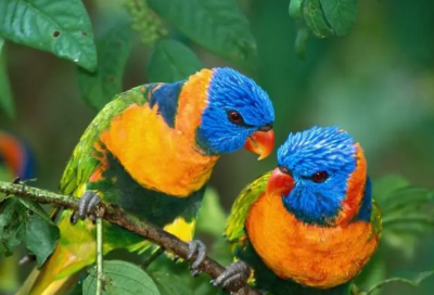 ​五行缺火的男孩起名方法五行属火的男孩名字大全