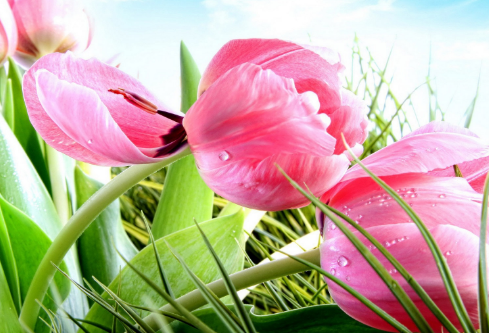 1687228430948492.png image.png