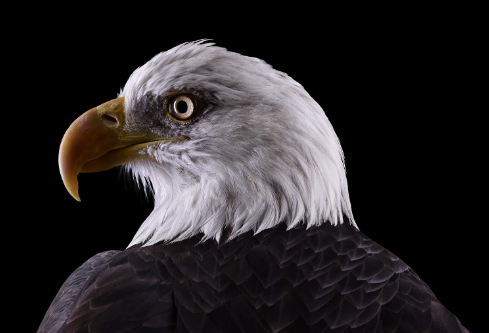 1687232094778259.png image.png