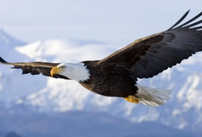 ​女孩起名字女孩温柔大方有诗意的名字