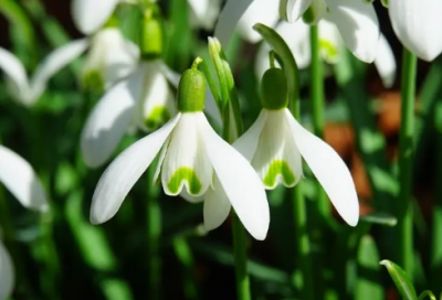 ​子开头的男孩名字有哪些？