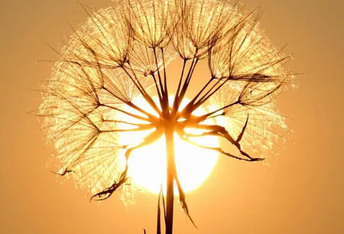 1687236258192031.png image.png