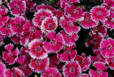 ​男孩取名字有内涵的男孩名字大全