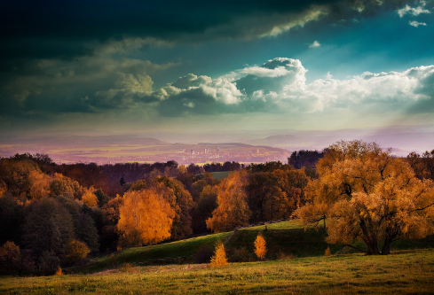 1687679778452991.png image.png