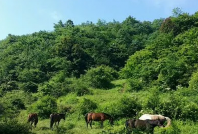 ​形容美食诱惑的语句(共16句)