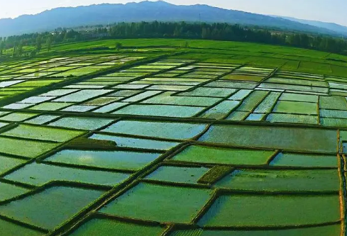 1687683773773736.png image.png