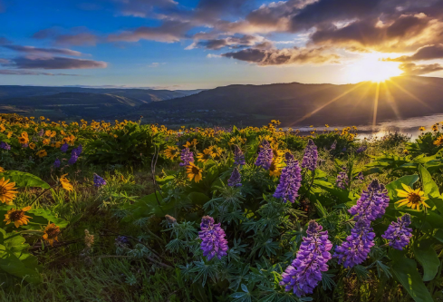 1687684935509611.png image.png