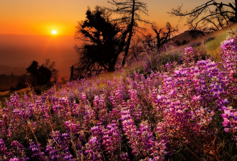 1687691588940548.png image.png