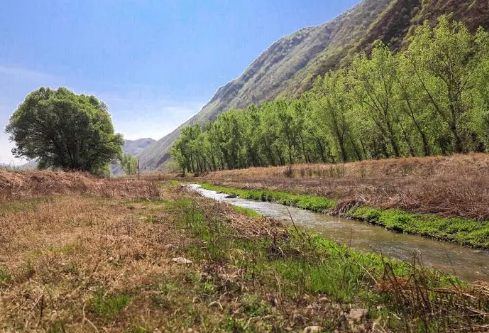 1687692914920097.png image.png