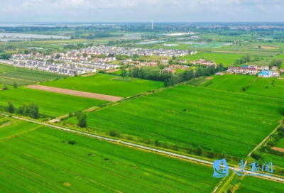 ​卖大米的销售句子34条