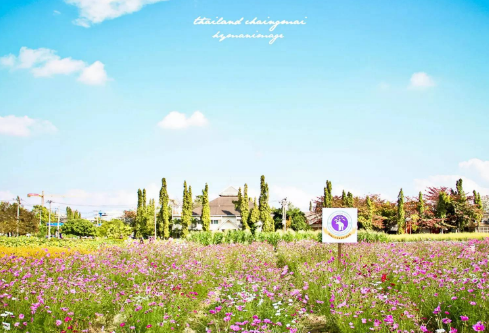 1687693577985095.png image.png