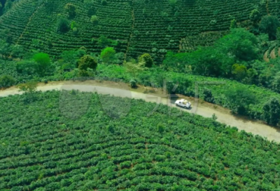 ​吸引人的订餐句子31条