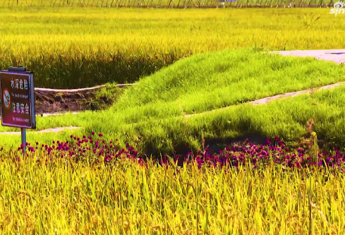 1687694405797716.png image.png