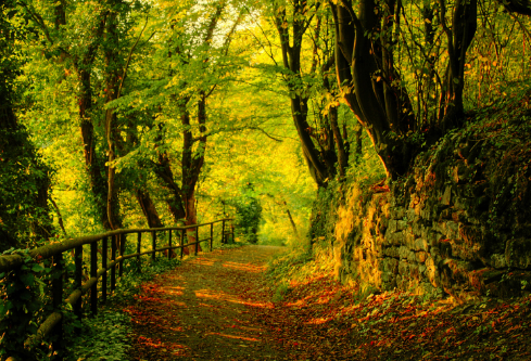 1687695731995576.png image.png