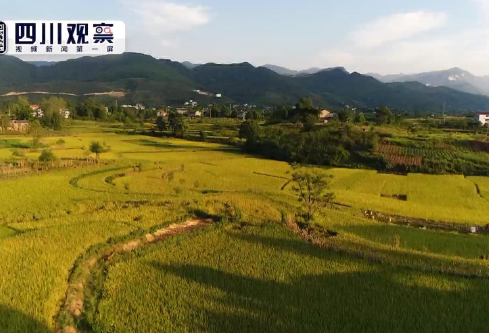 1687697064883058.png image.png