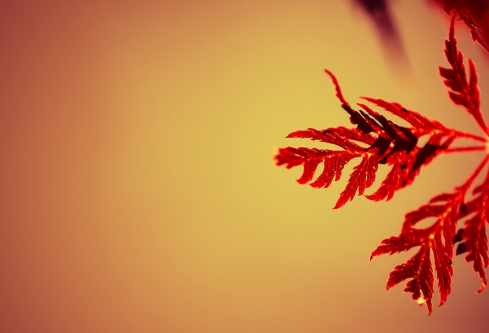 1688758106321906.png image.png