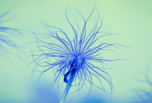 1688760262881684.png image.png