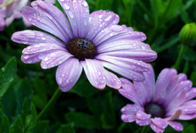 ​化妆品公司名字大全,好听的化妆品商标名字