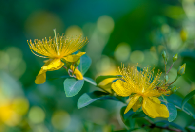 ​简单又有创意的公司名称大全