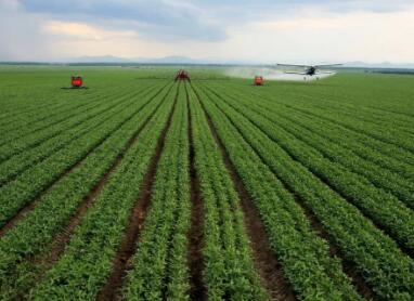 农业科技公司名称大全 简单大气的农业公司名字