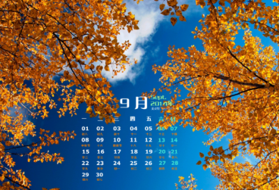 ​展览展示公司名字大全 有艺术的设计公司名字